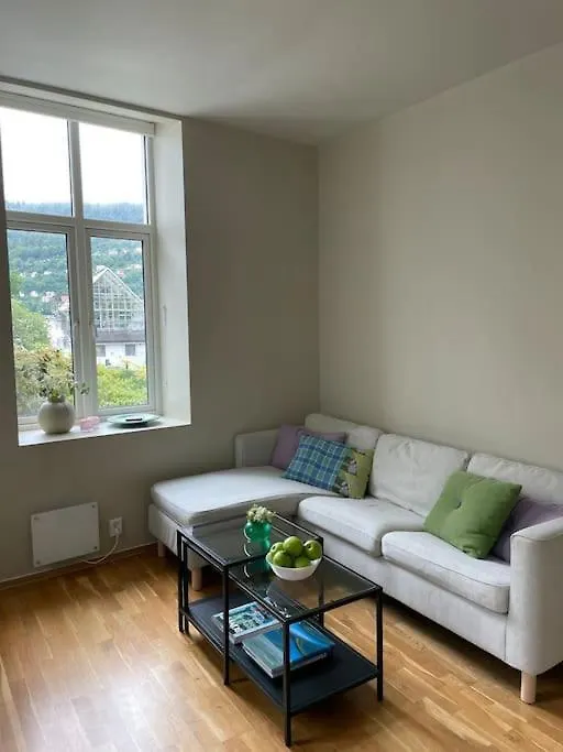Modern Apartment With Panoramic View In Central Bergen